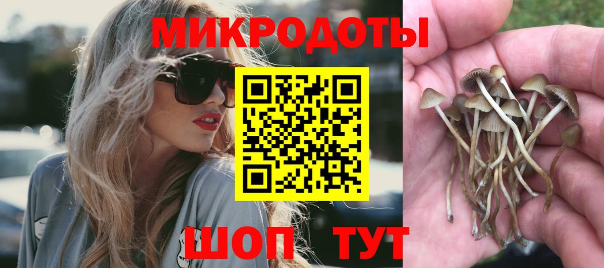 Галлюциногенные грибы Psilocybine cubensis  Вход с VPN  Добрянка  Псилоцибиновые грибы ЛСД 